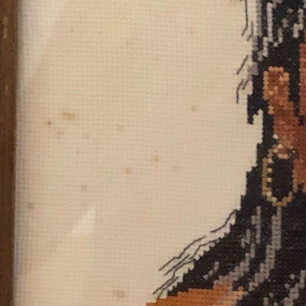 Vintage Framed Cross-Stitch Portrait of Native American Man